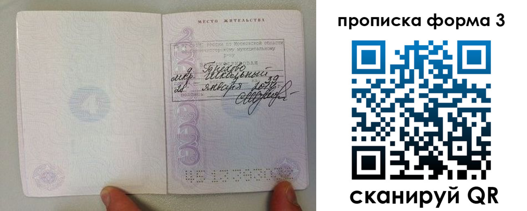 прописка гарантия в Снежногорске